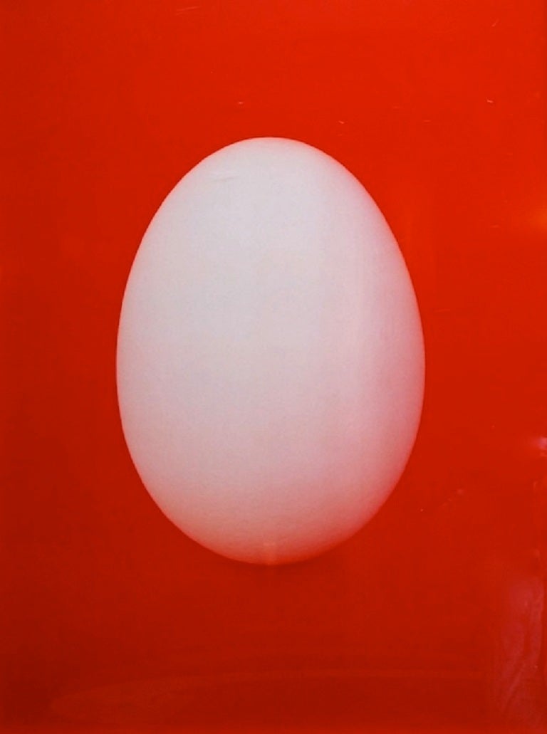 Untitled (Egg), 1990, by Neil Winokur